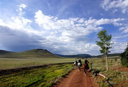 Picture of Trail at BCR